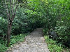 -灵山