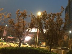 -西安高新医院