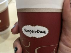 -哈根达斯(石家庄北国店)