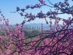 -天台山赤城山景区