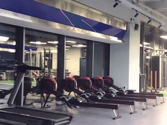 -METIS FITNESS女性健身工作室