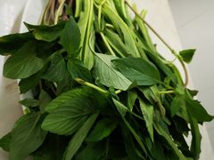 -Pho Hoa Pasteur