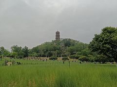 -红花山公园