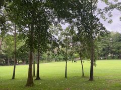 -荔枝公园(福田区)