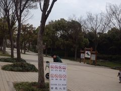 -新江湾城公园