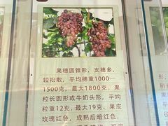 -北京张裕爱斐堡酒庄