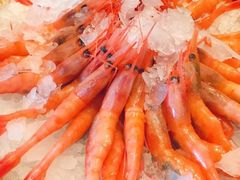 -青岛颐海花园酒店总店·自助餐厅