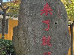 -普陀山风景名胜区-法雨禅寺