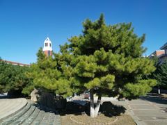 -东北师范大学(净月大街校区)