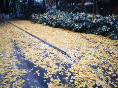 -南京特殊教育师范学院(燕子矶校区)