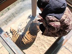 -栾川竹海野生动物园