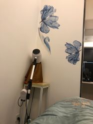 -DEM缔怡美科技美容