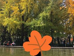 -玲珑塔公园