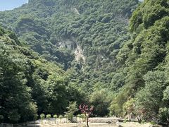-少华山国家森林公园