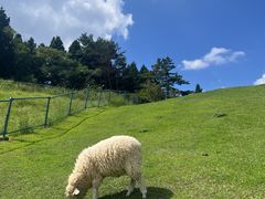 -神户市立六甲山牧场