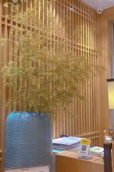 -一本X目奈子日式单根美睫专业店