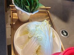 -南门四季铜锅涮肉(大屯·北苑店)