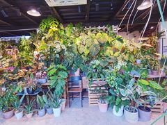 -自由生长植物工作室(深港花卉中心店)