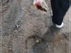 -回坊马二饺子馆