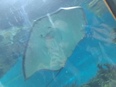 -福州罗源湾海洋世界旅游区