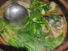-九道菜有鸡鱼头(石鼓路店)