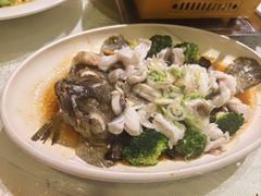 -大树头·花园餐厅(市桥店)