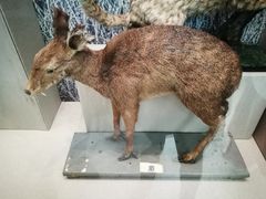 -北京中医药大学-中医药博物馆