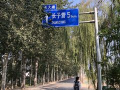 -呀路古热带植物园