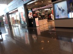 -日上免税店(三径路t3店)