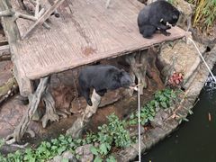 -长鹿旅游休博园