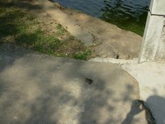 -西樵山风景名胜区-天湖公园