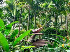 -海南热带野生动植物园
