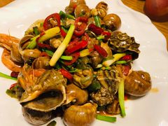 辣炒双螺虾-必点海鲜·鲅鱼水饺(鞍山西道店)