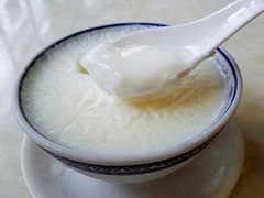 双皮奶-世代同糖(华盖里直街店)