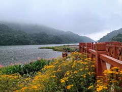 -广州市石门国家森林公园