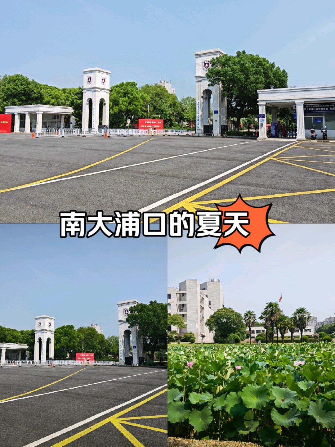 浦口校区有点荒
没有市中心的校区热闹
南大有仙林校区,鼓楼校区