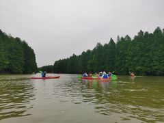 -上海海湾国家森林公园