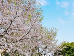 -苏州上方山国家森林公园