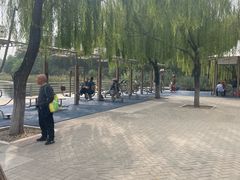 -大兴滨河森林公园