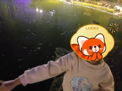 -西苑公园