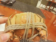 -元一希尔顿酒店·禅自助餐厅·啤酒花园