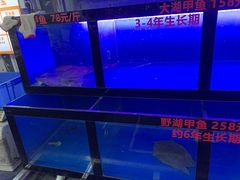 水产区-7890+霸王甲·甲鱼爱尚蛙(坪洲店)