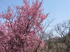 -里口山风景名胜区