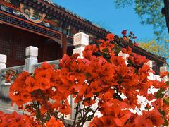 -丽泽山庄·生态怀柔菜·虹鳟鱼(红螺寺店)