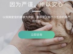 -安安宠医宠物医院·异宠·犬猫内科(岳阳分院)