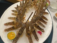 -璞御·海鲜·雪花牛肉局(宾水西道店)