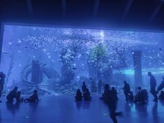 -波塞冬海底世界