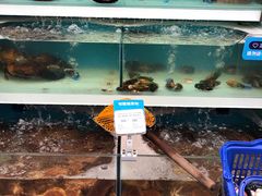 -盒马鲜生(大成店)