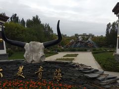 -武清南湖绿博园