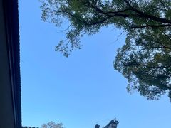 -天一阁博物院